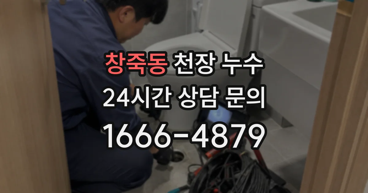 창죽동 천장 누수
