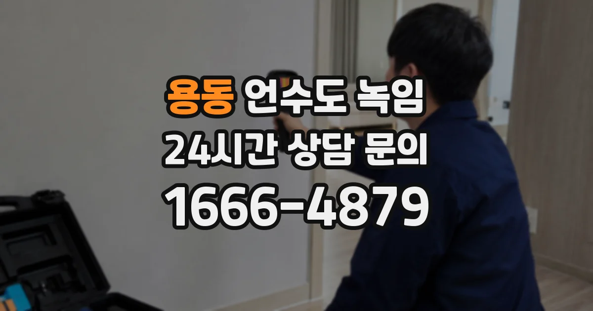 용동 언수도 녹임