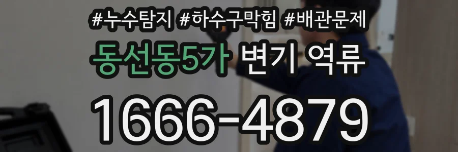 동선동5가 변기 역류