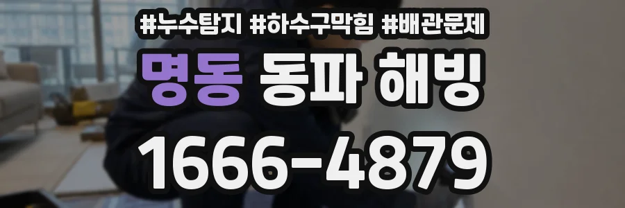 명동 동파 해빙