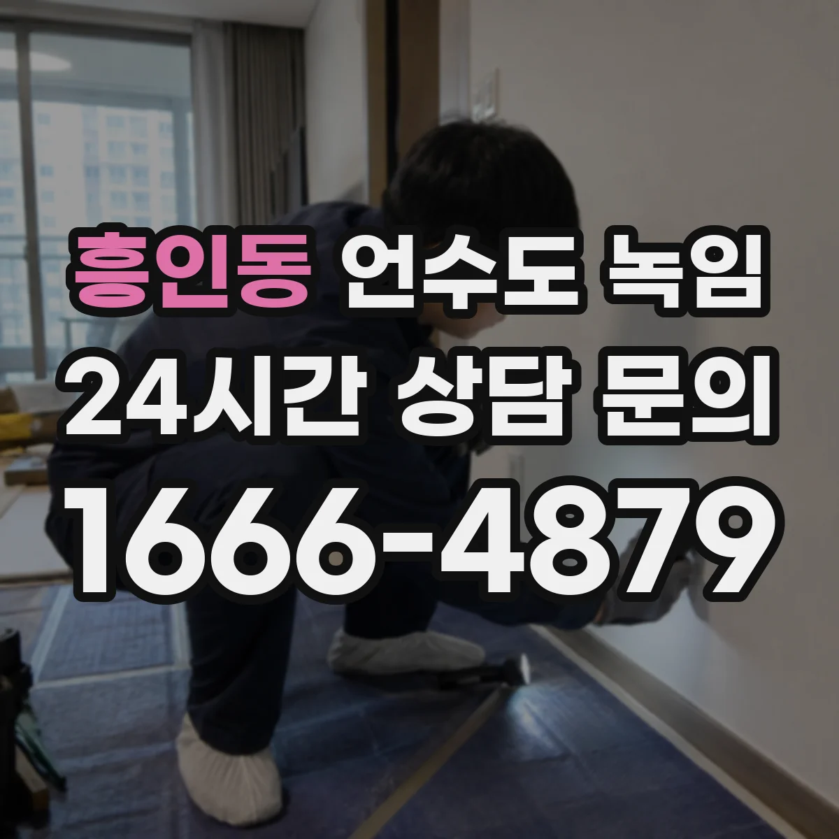 흥인동 언수도 녹임