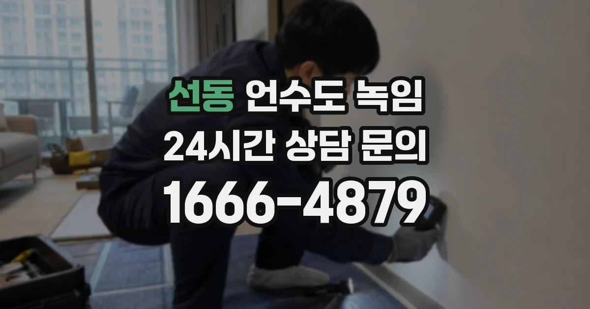 선동 언수도 녹임