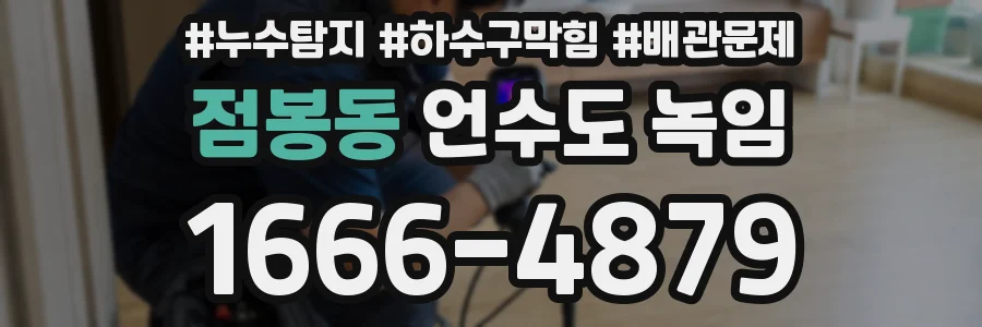 점봉동 언수도 녹임