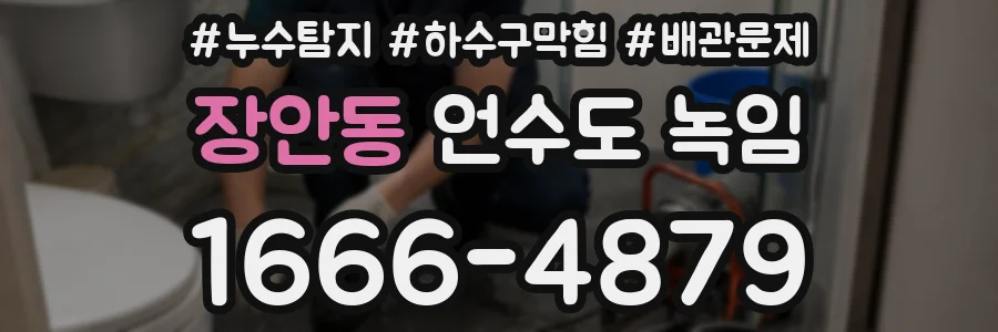 장안동 언수도 녹임