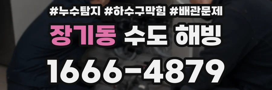 장기동 수도 해빙