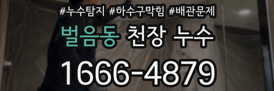 벌음동 천장 누수