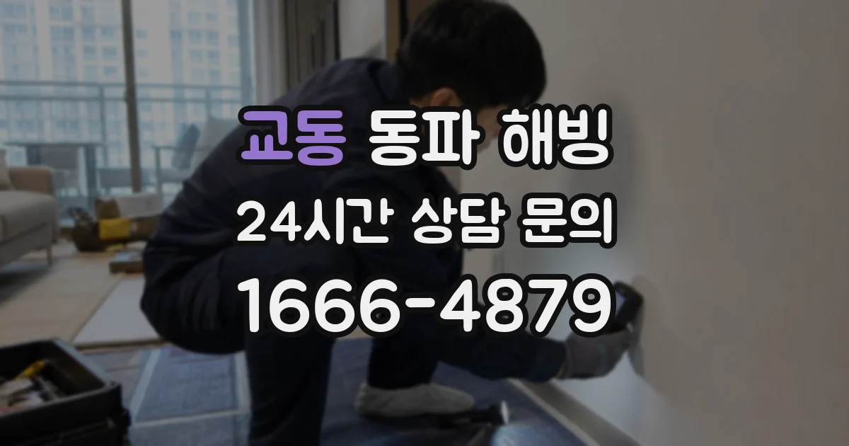 교동 동파 해빙