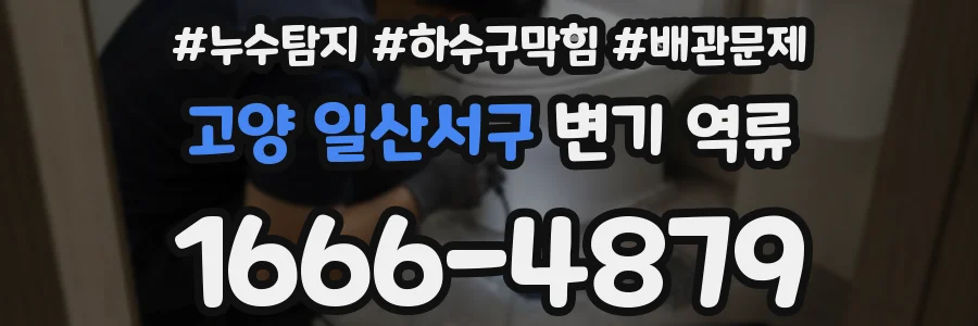 고양 일산서구 변기 역류