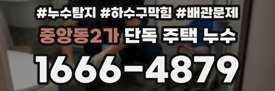 중앙동2가 단독 주택 누수