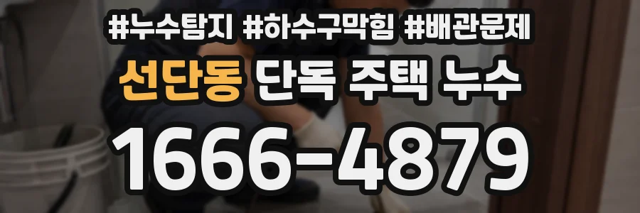 선단동 단독 주택 누수