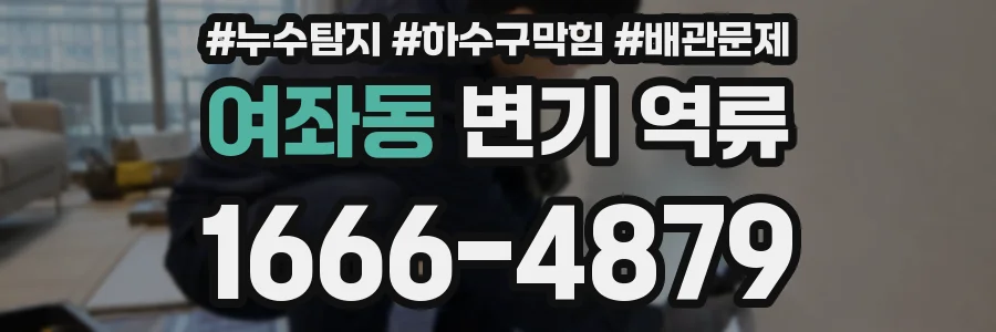 여좌동 변기 역류