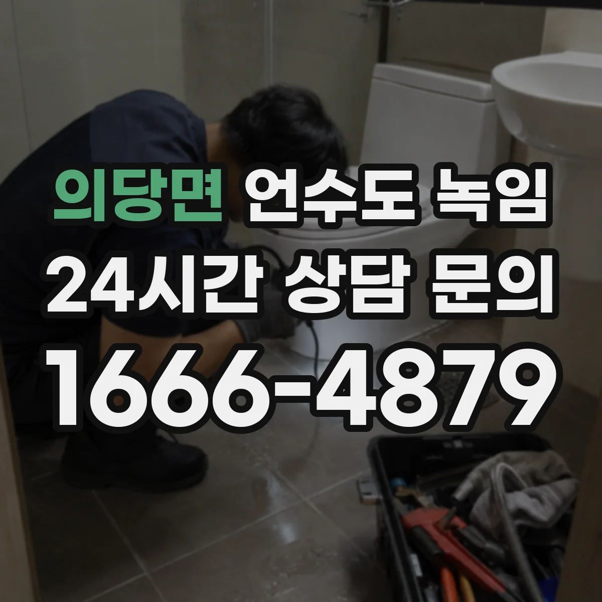 의당면 언수도 녹임