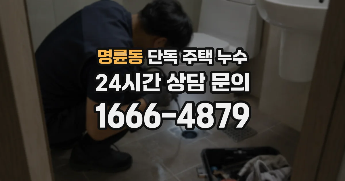 명륜동 단독 주택 누수