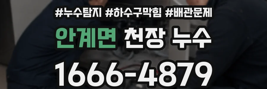 안계면 천장 누수