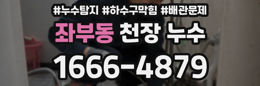 좌부동 천장 누수