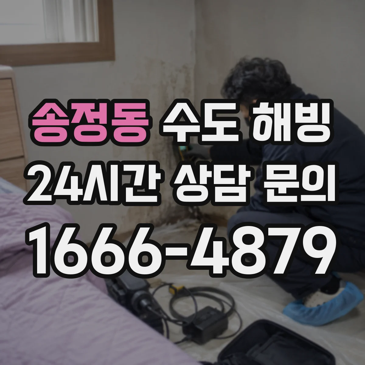 송정동 수도 해빙