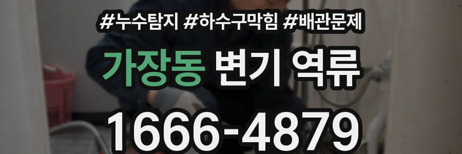 가장동 변기 역류