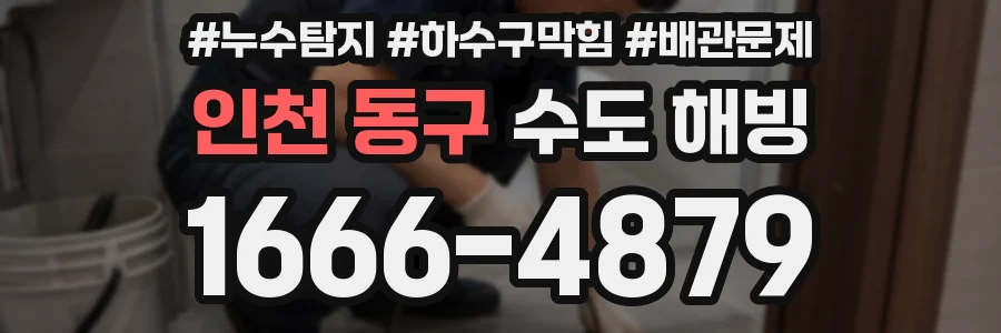 인천 동구 수도 해빙