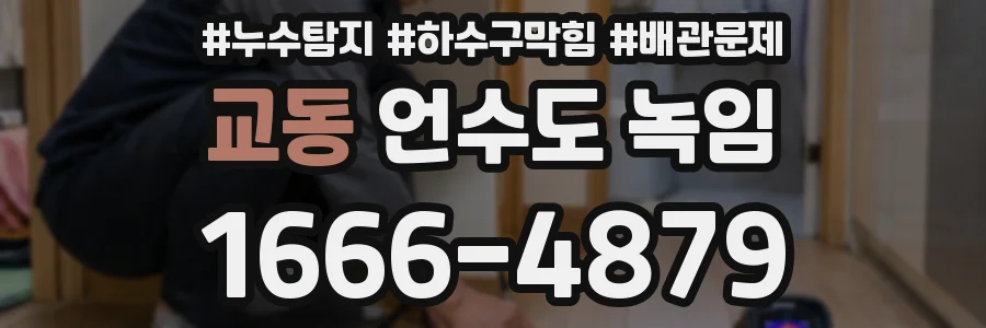 교동 언수도 녹임
