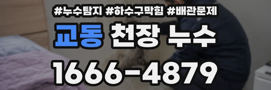 교동 천장 누수