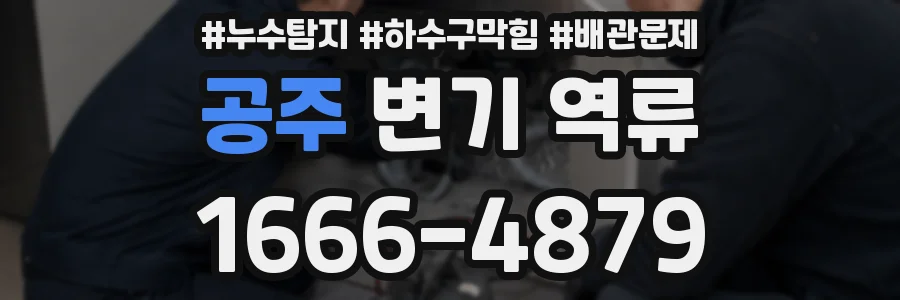 공주 변기 역류