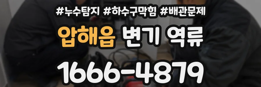 압해읍 변기 역류