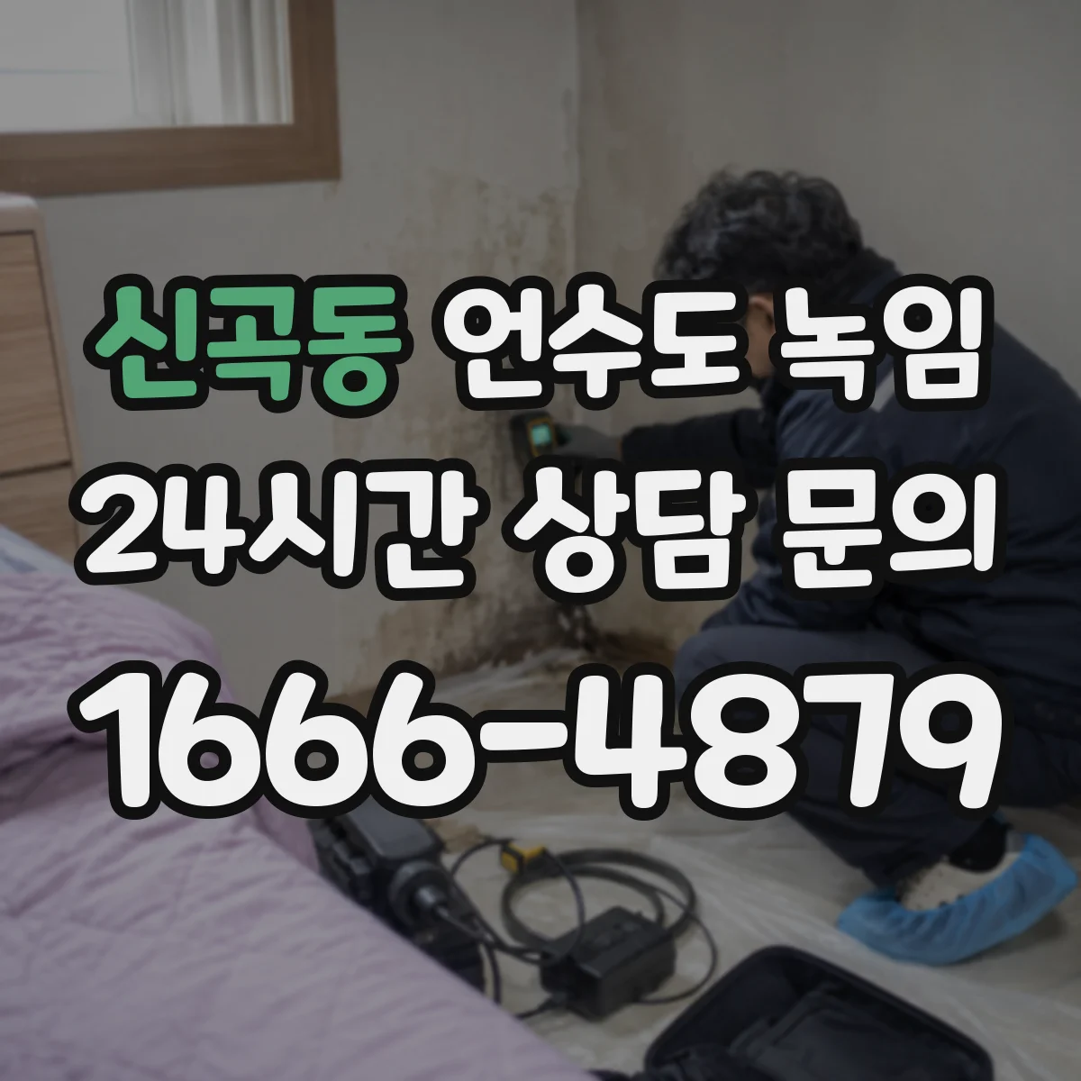 신곡동 언수도 녹임