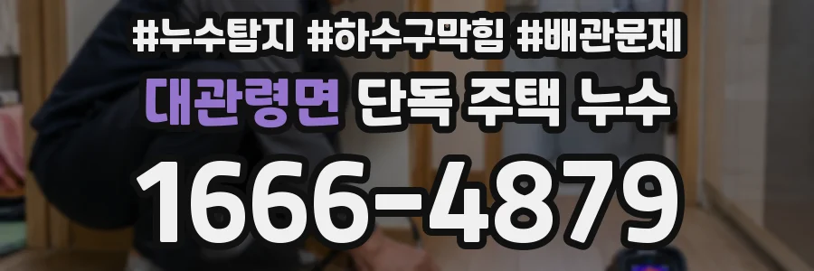 대관령면 단독 주택 누수