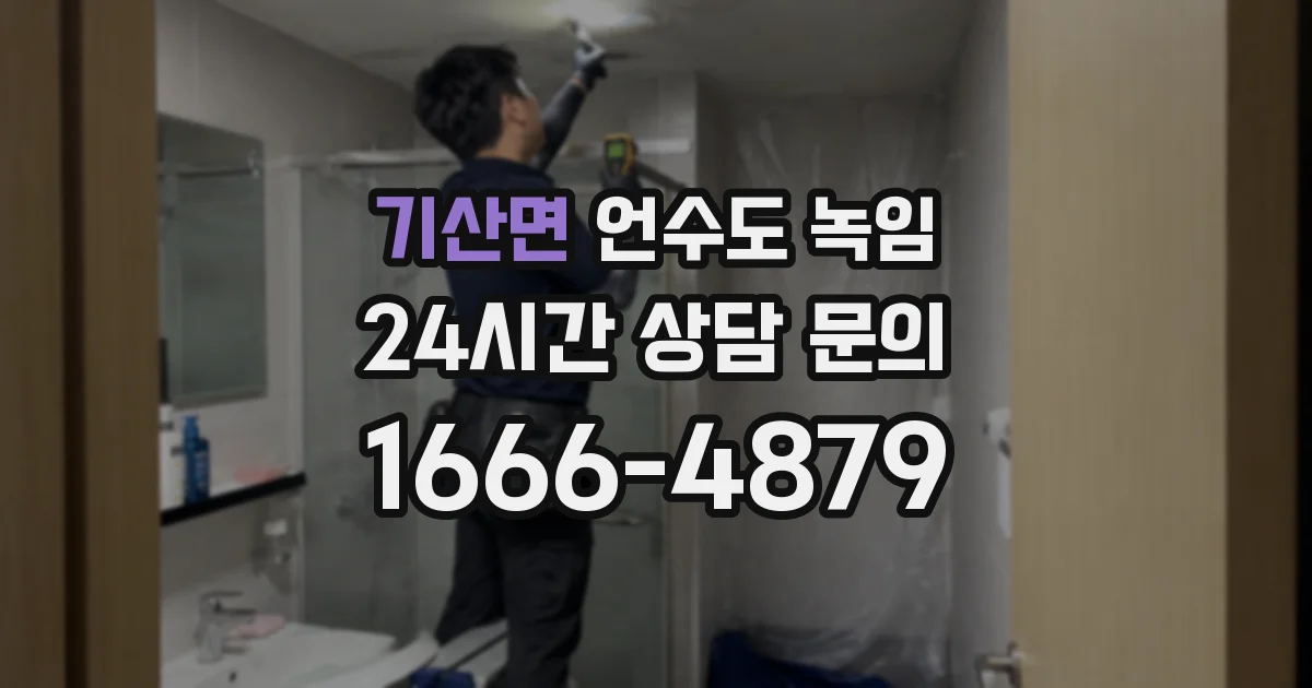 기산면 언수도 녹임