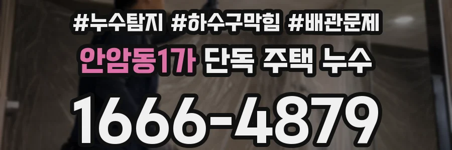 안암동1가 단독 주택 누수