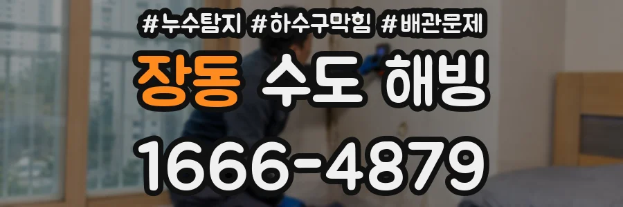 장동 수도 해빙