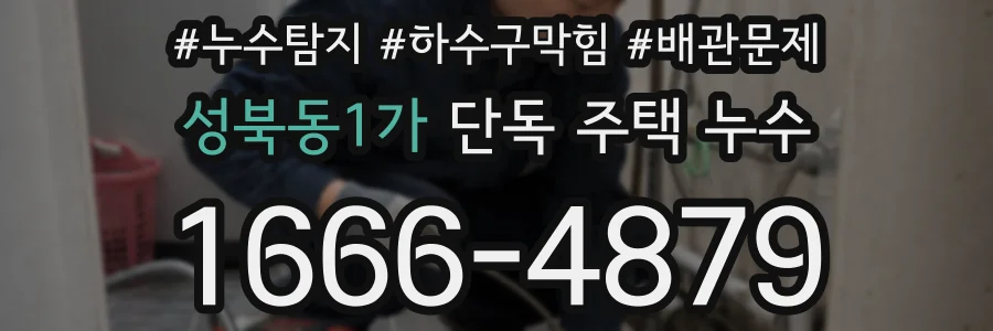 성북동1가 단독 주택 누수