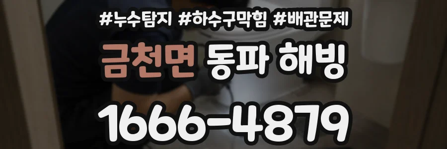 금천면 동파 해빙