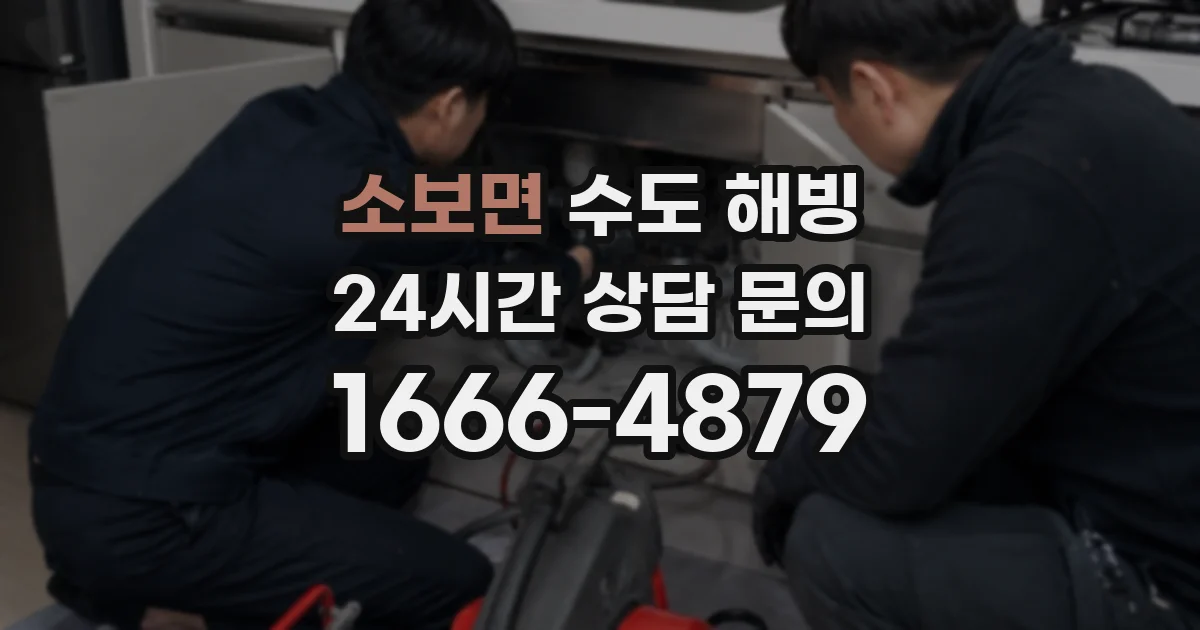 소보면 수도 해빙