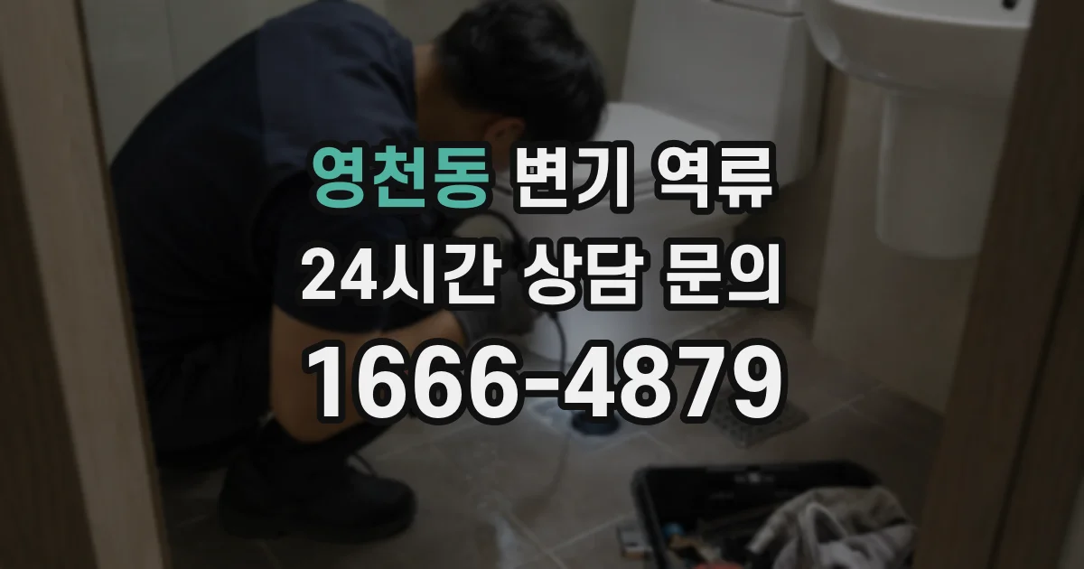 영천동 변기 역류