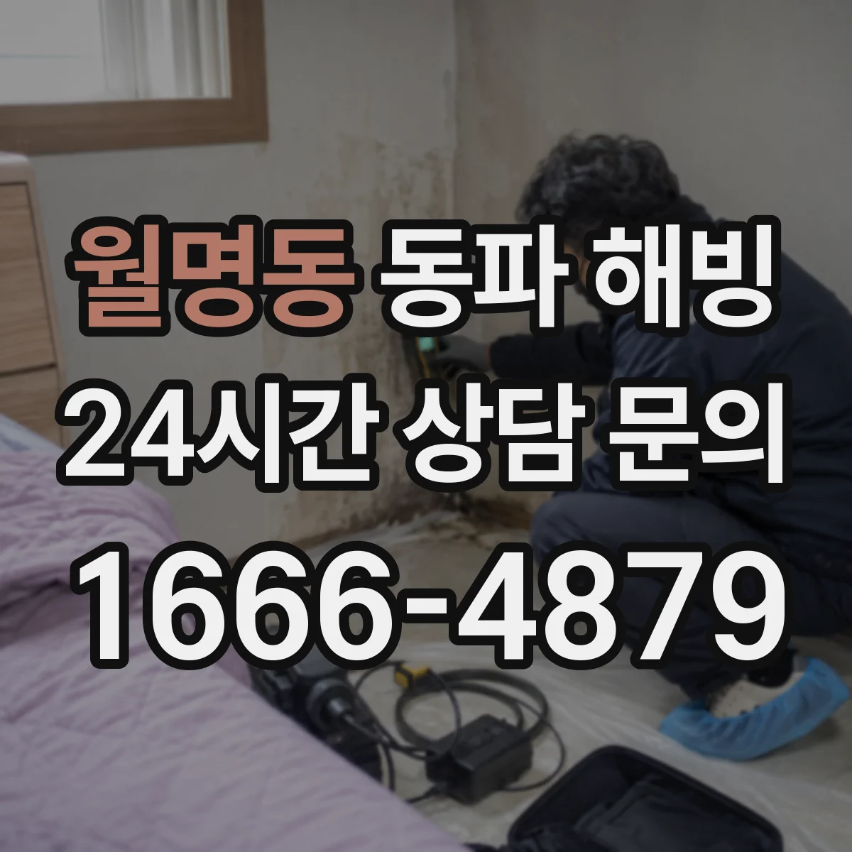 월명동 동파 해빙