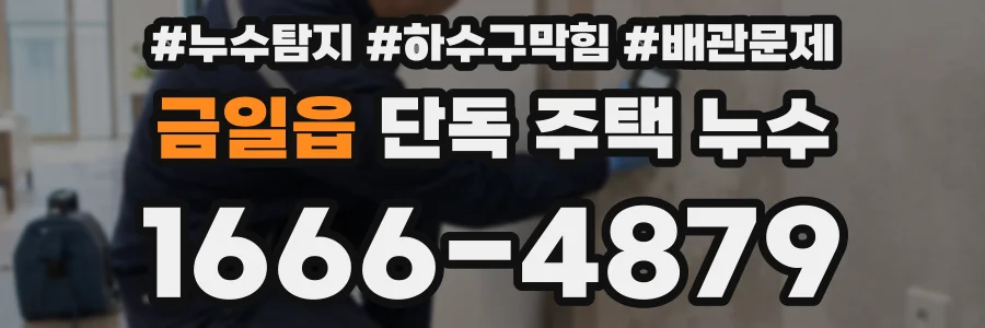 금일읍 단독 주택 누수