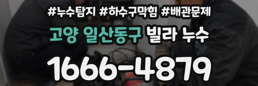 고양 일산동구 빌라 누수