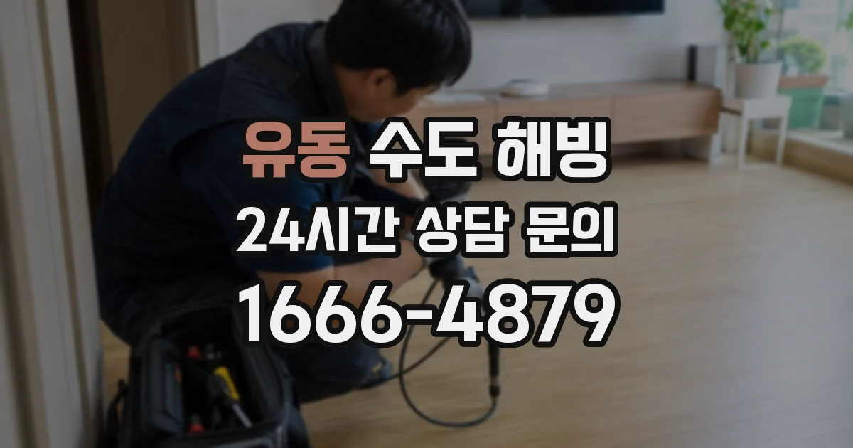 유동 수도 해빙