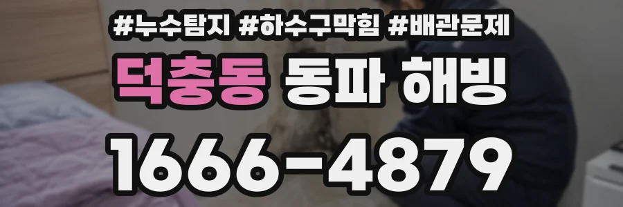 덕충동 동파 해빙