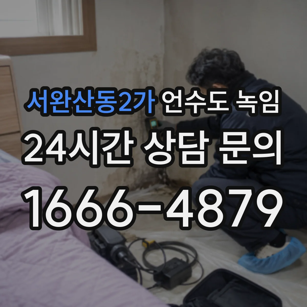 서완산동2가 언수도 녹임