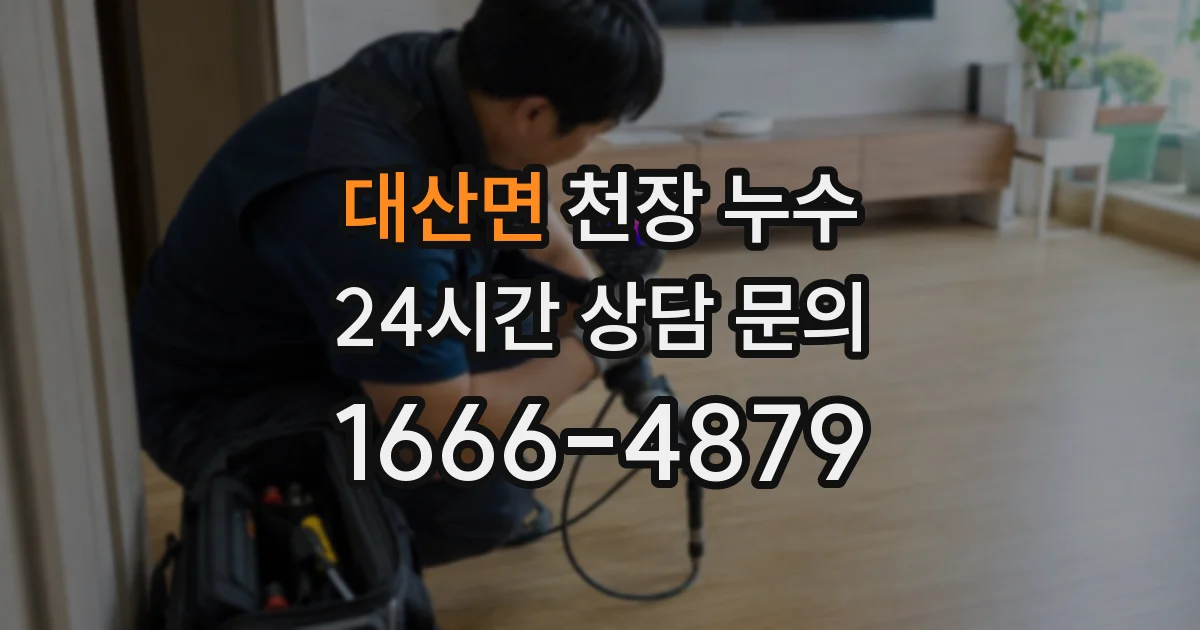 대산면 천장 누수