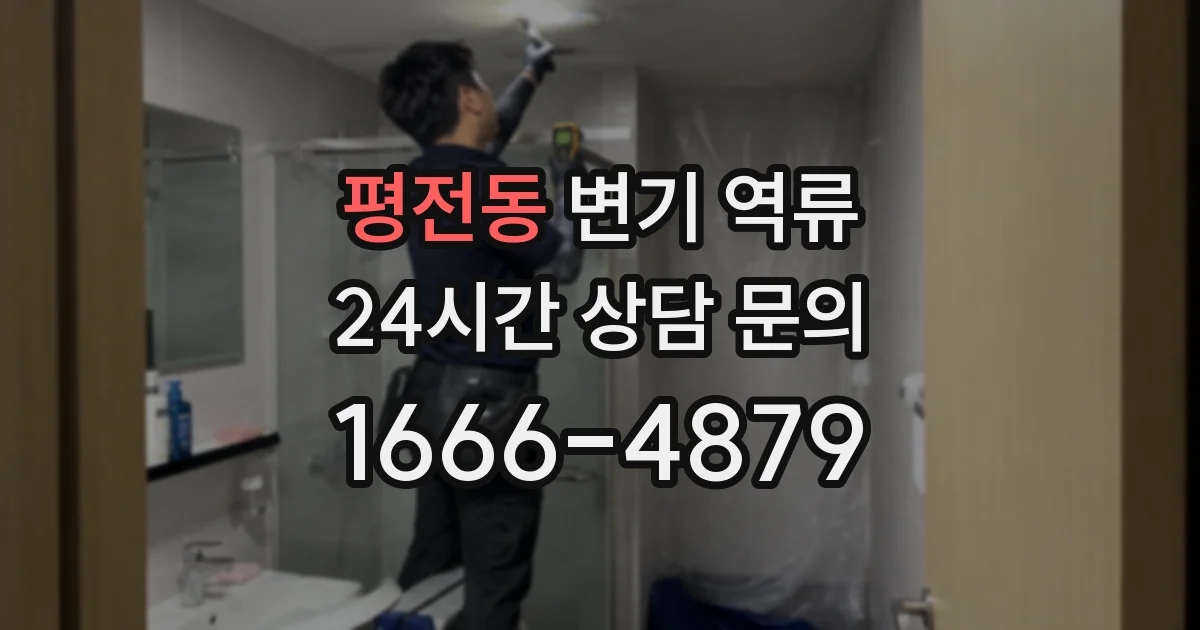 평전동 변기 역류