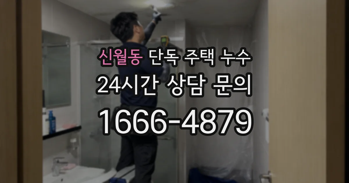 신월동 단독 주택 누수