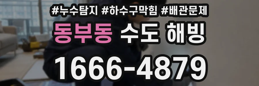 동부동 수도 해빙