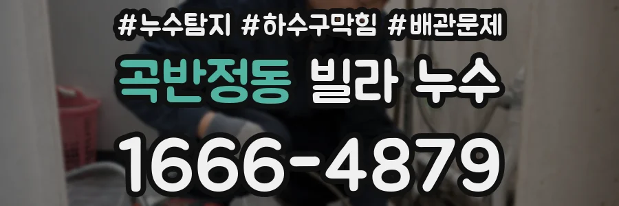 곡반정동 빌라 누수