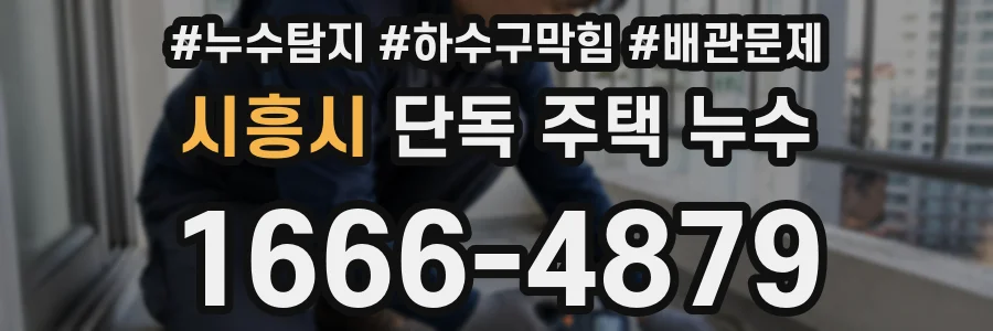 시흥시 단독 주택 누수
