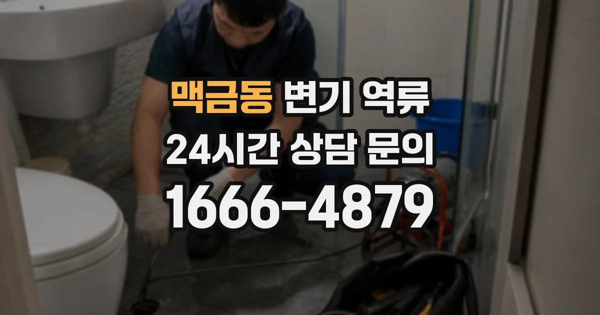 맥금동 변기 역류