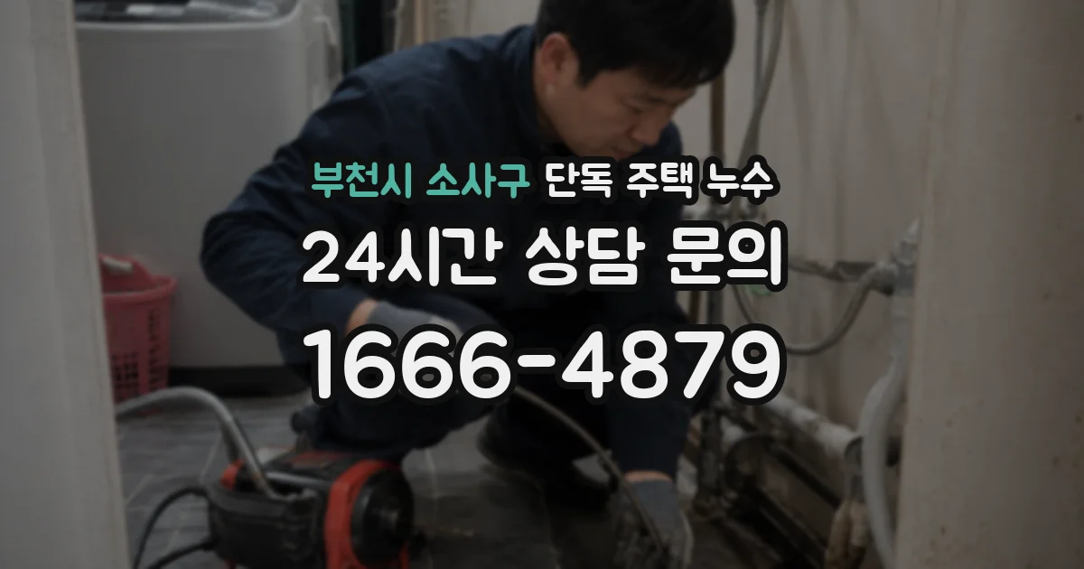 부천시 소사구 단독 주택 누수