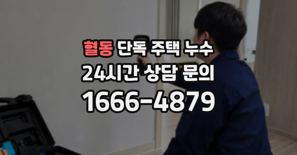 혈동 단독 주택 누수